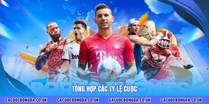 Tổng hợp các tỷ lệ cược 