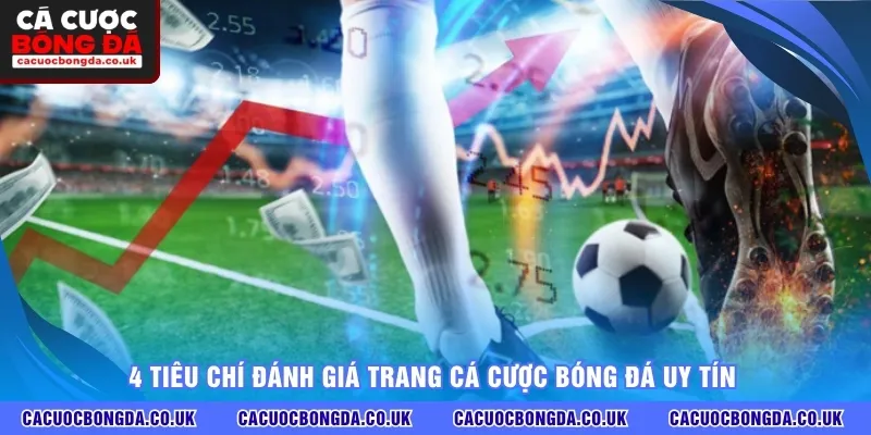 4 tiêu chí đánh giá trang cá cược bóng đá uy tín