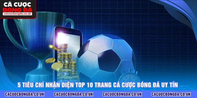 5 tiêu chí nhận diện top 10 trang cá cược bóng đá uy tín
