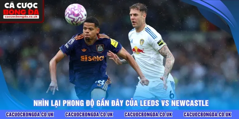 Nhìn lại phong độ gần đây của Leeds vs Newcastle