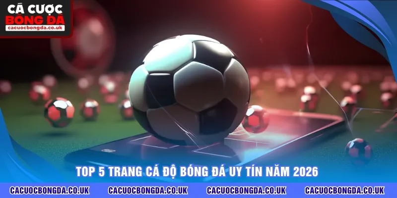 Top 5 trang cá độ bóng đá uy tín năm 2026