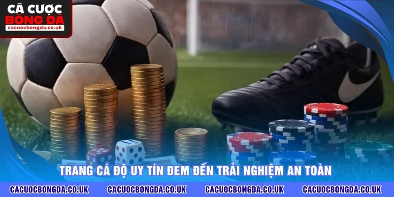 Trang cá độ uy tín đem đến trải nghiệm an toàn